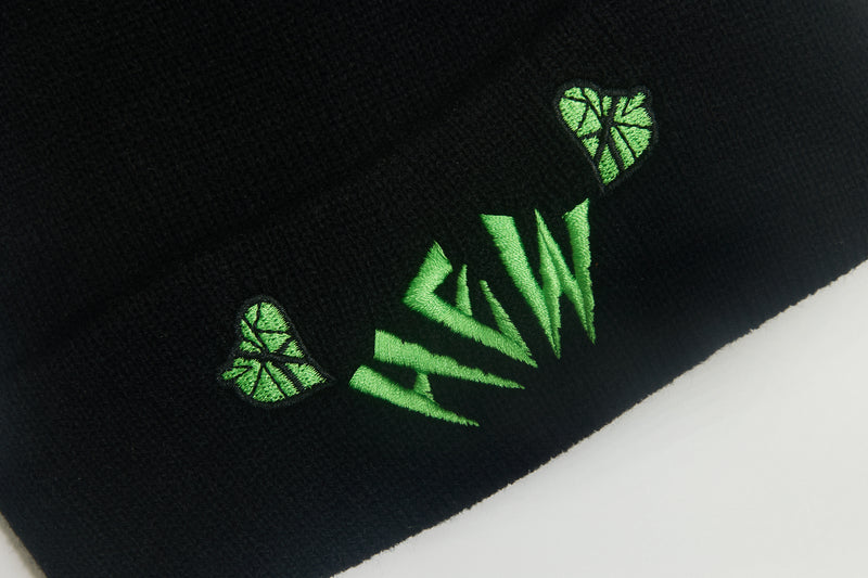 HEW Logo Beanie